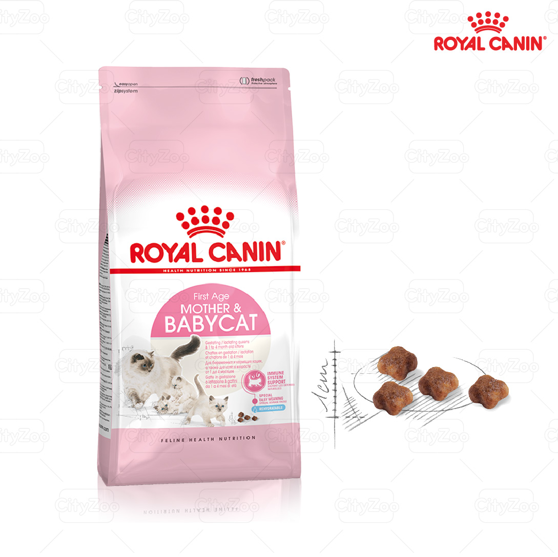 Hạt mèo ROYAL CANIN MOTHER & BABYCAT dành cho mèo mẹ mang thai hoặc cho con bú, mèo con từ 1 - 4 tháng tuổi