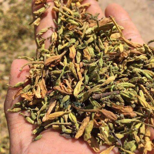 500gr hoa đu đủ đực sấy khô xanh thơm sạch.