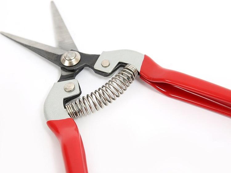 Bộ combo 3 Kéo cắt tỉa cành hoa lá ( 3 cái Đỏ)