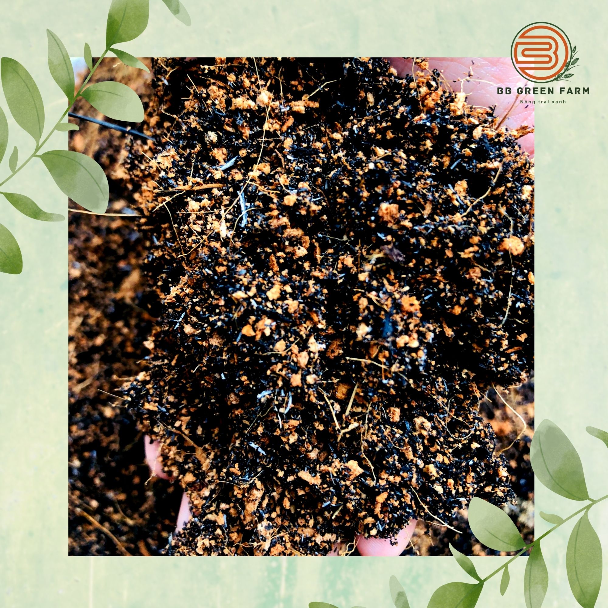 Phân trộn sẵn (xơ dừa, tro, trấu, phân bò)- BB GREEN FARM (5dm3).