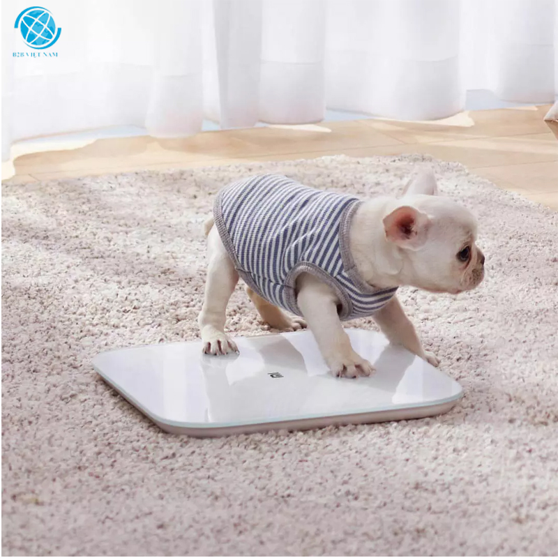 Cân thông minh Xiaomi Mi Smart Scale 2 - Hãng phân phối
