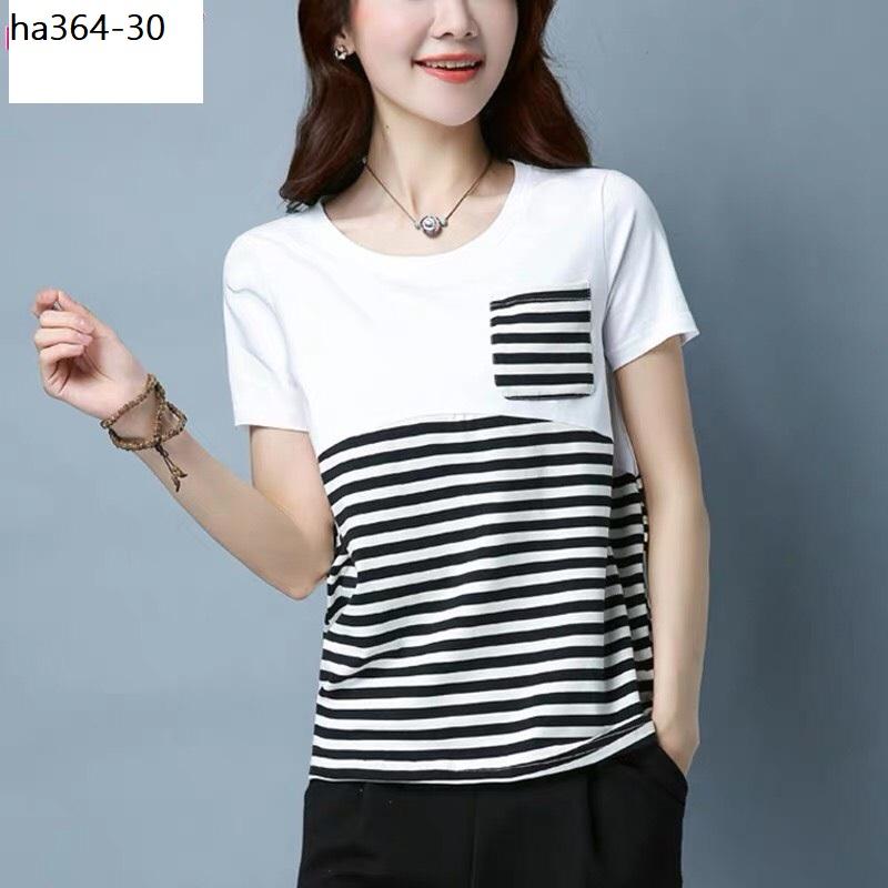 ha364- ÁO THUN PHỐI SỌC KẺ CÁ TÍNH