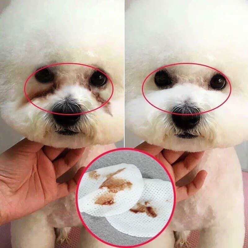 Khăn lau mắt ố cho chó mèo