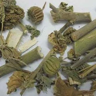 Cây cối xay 1kg