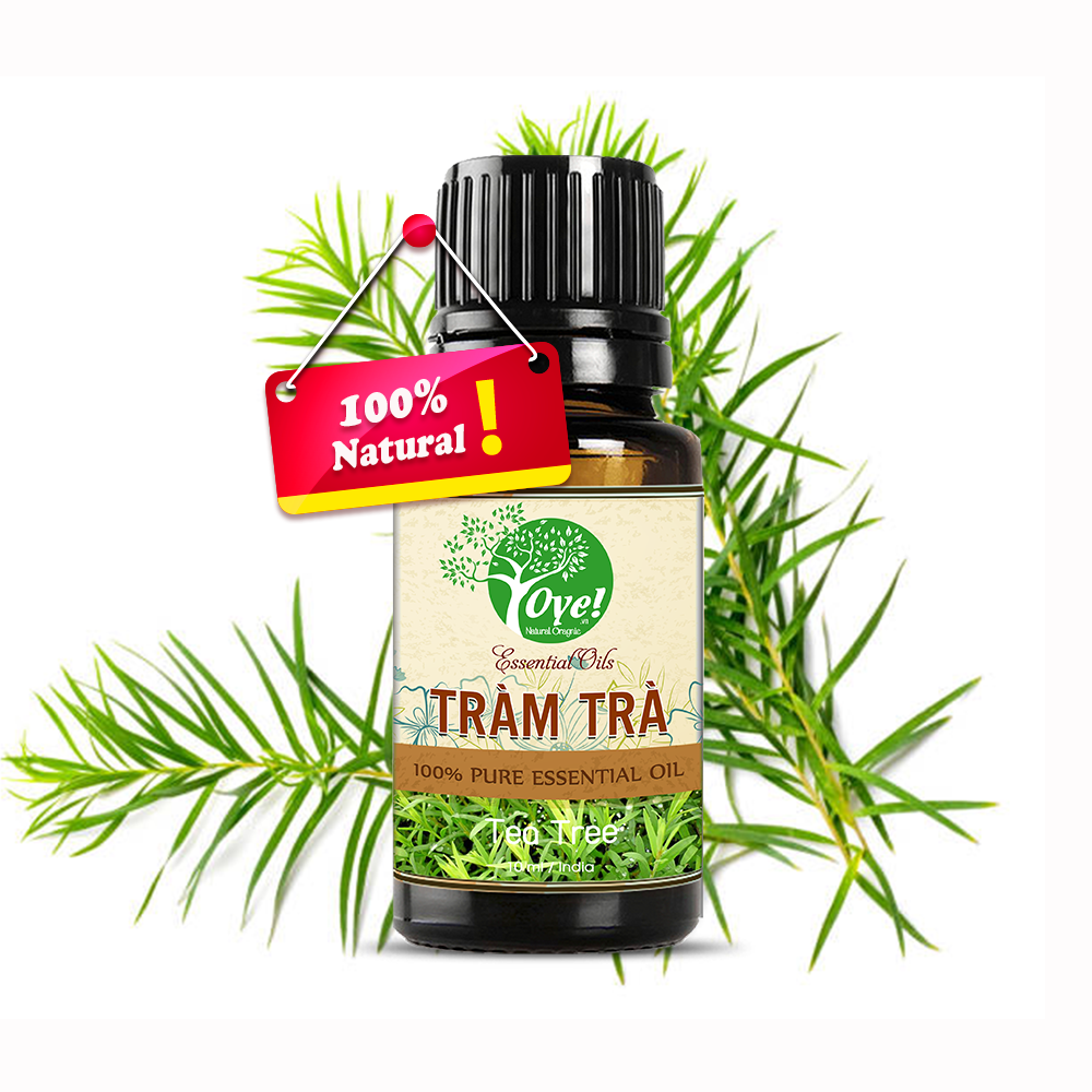 Tinh Dầu Tràm Trà  Đuỗi Muỗi - OYe 10ml