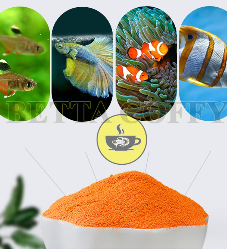 Artemia Sấy Khô Dạng Bột Cho Cá 🐠 BETTA COFFY ☕️