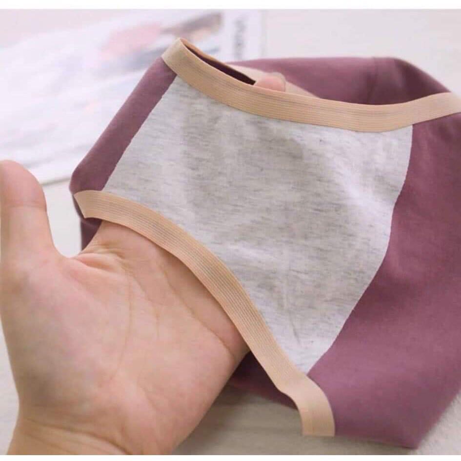Combo 5 quần lót nữ cotton kháng khuẩn cao cấp[ảnh thật]