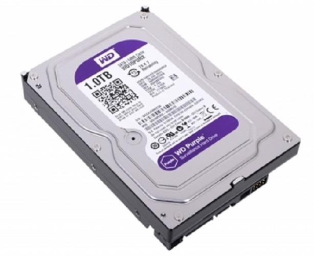 Ổ CỨNG WESTERN TÍM 1000GB