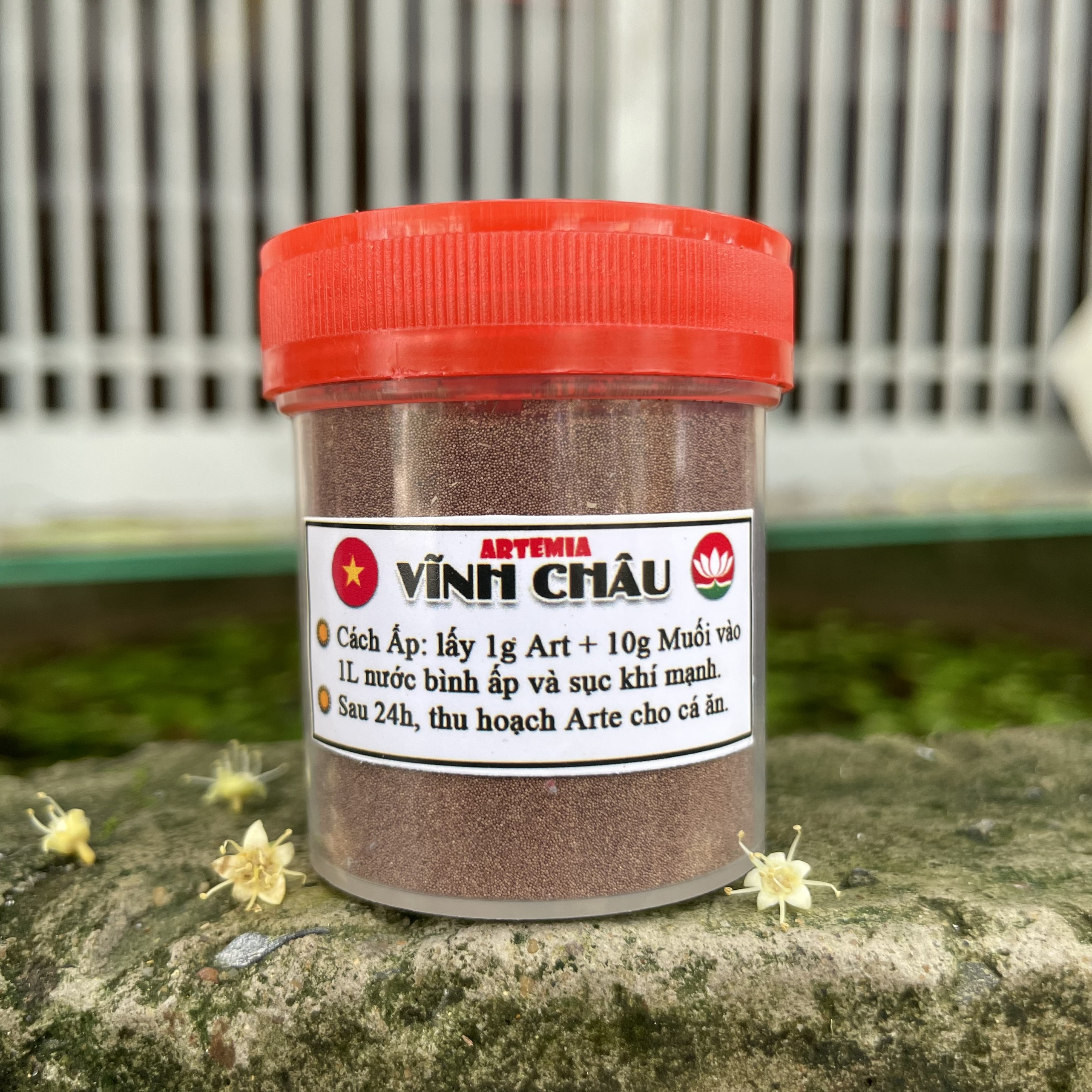 Artemia Vĩnh Châu VN - Thức ăn cá nhỏ mới đẻ 🐣