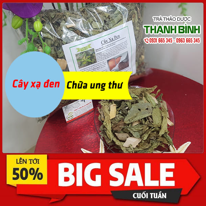 Cây xạ đen 100g khô loại đặc biệt - đông y thanh bình