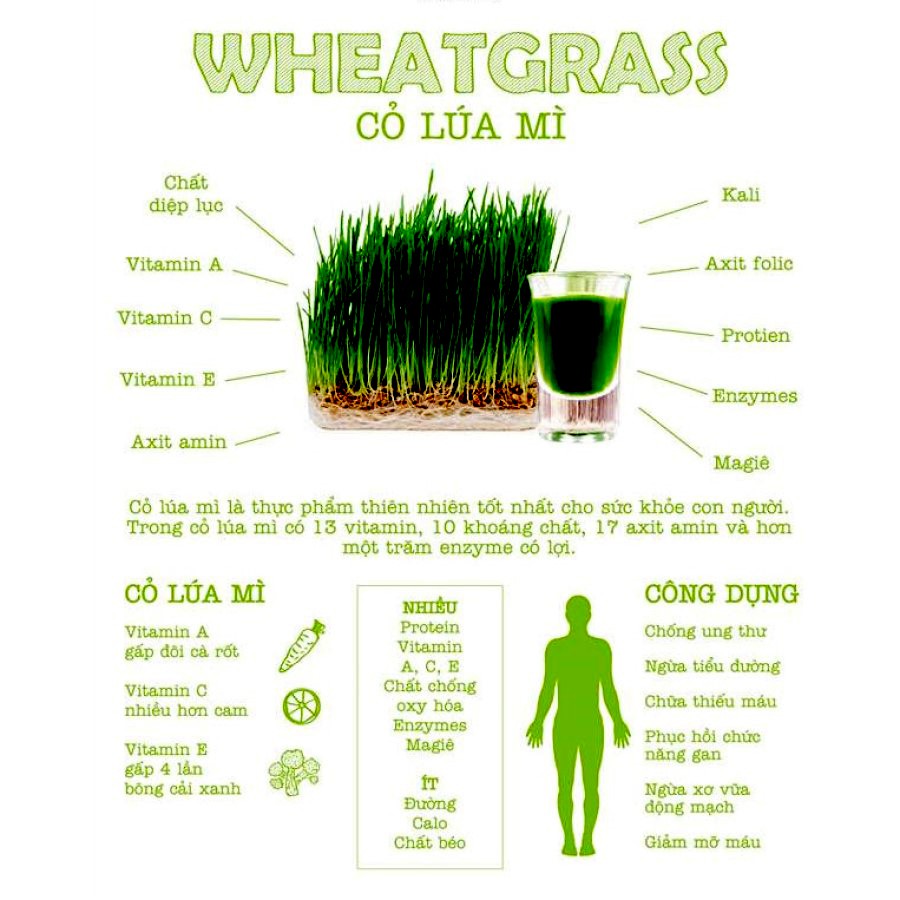 (Wheat grass powder) Bột cỏ lúa mì 100% nguyên chất