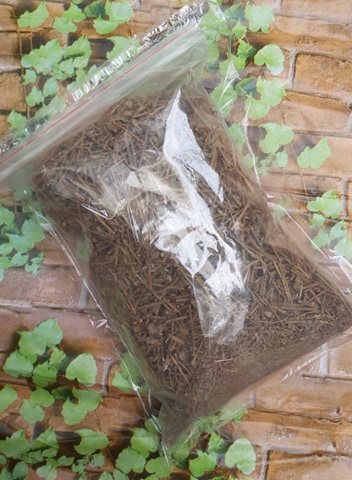 1kg Cây cà gai leo khô nguyên chất