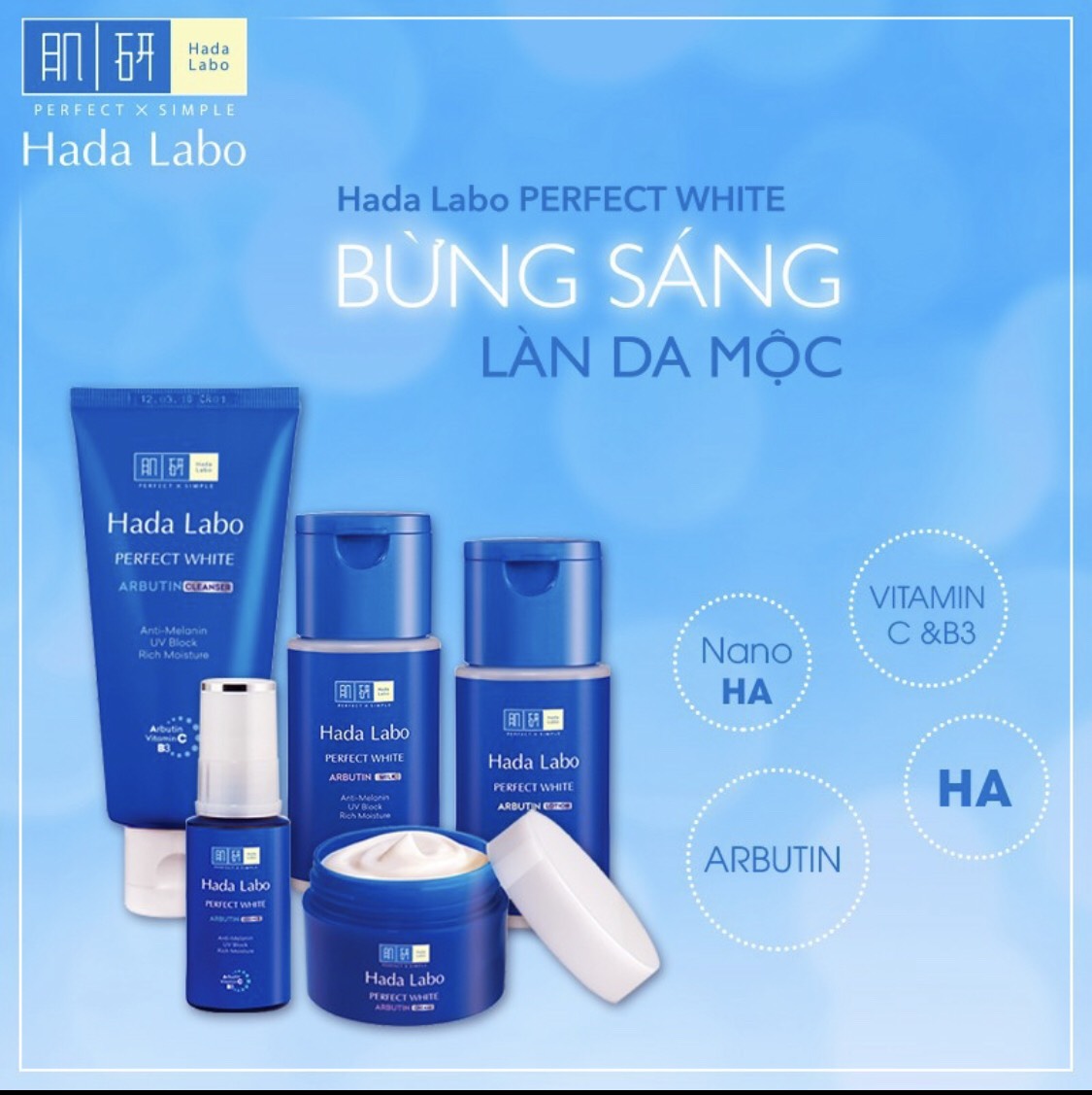 Bộ 4 sản phẩm Hada Labo Perfect White (Kem rửa mặt 80g + Dung dịch dưỡng 100ml + Tinh chất 30g + Kem dưỡng 50g)