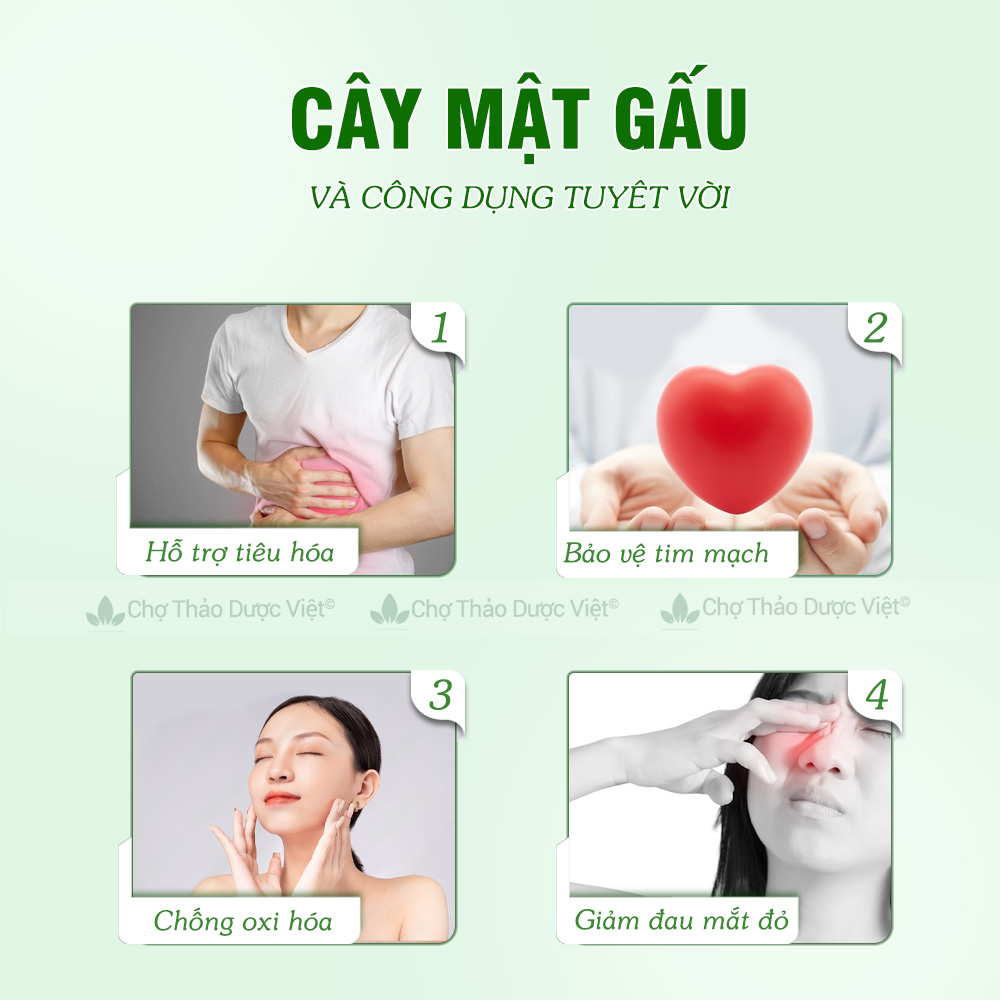 1kg Cây Mật Gấu (Khô, Sạch, Thơm)