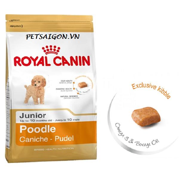 Royal Canin Poodle 500g - Thức ăn hạt cho chó