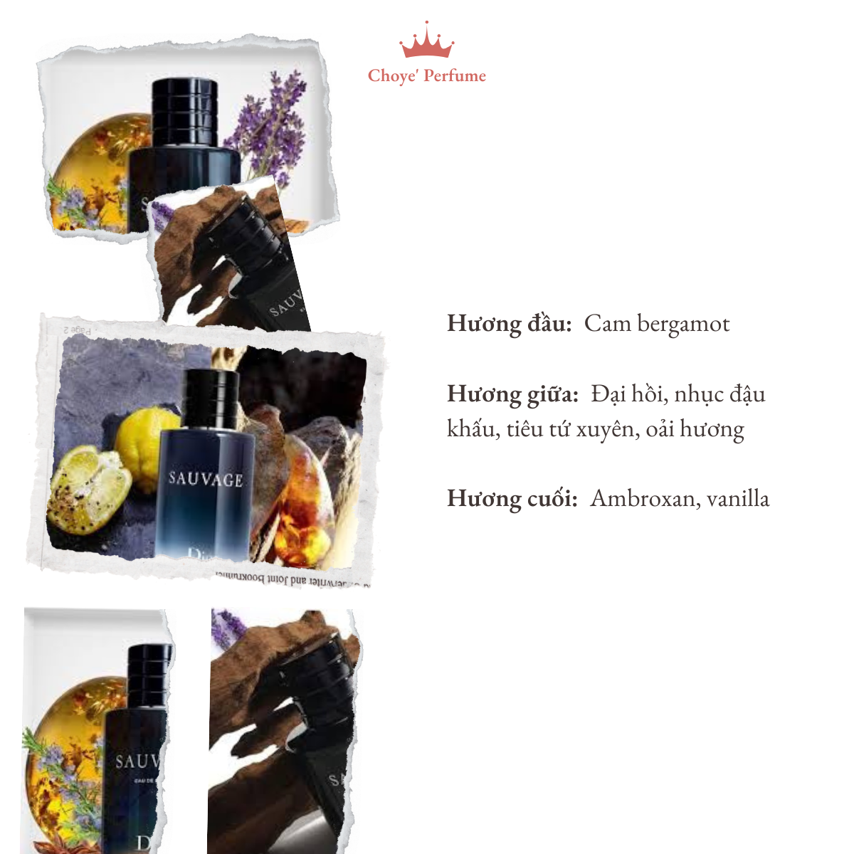 Mẫu nước hoa nam Dior Sauvage EDP 10ml