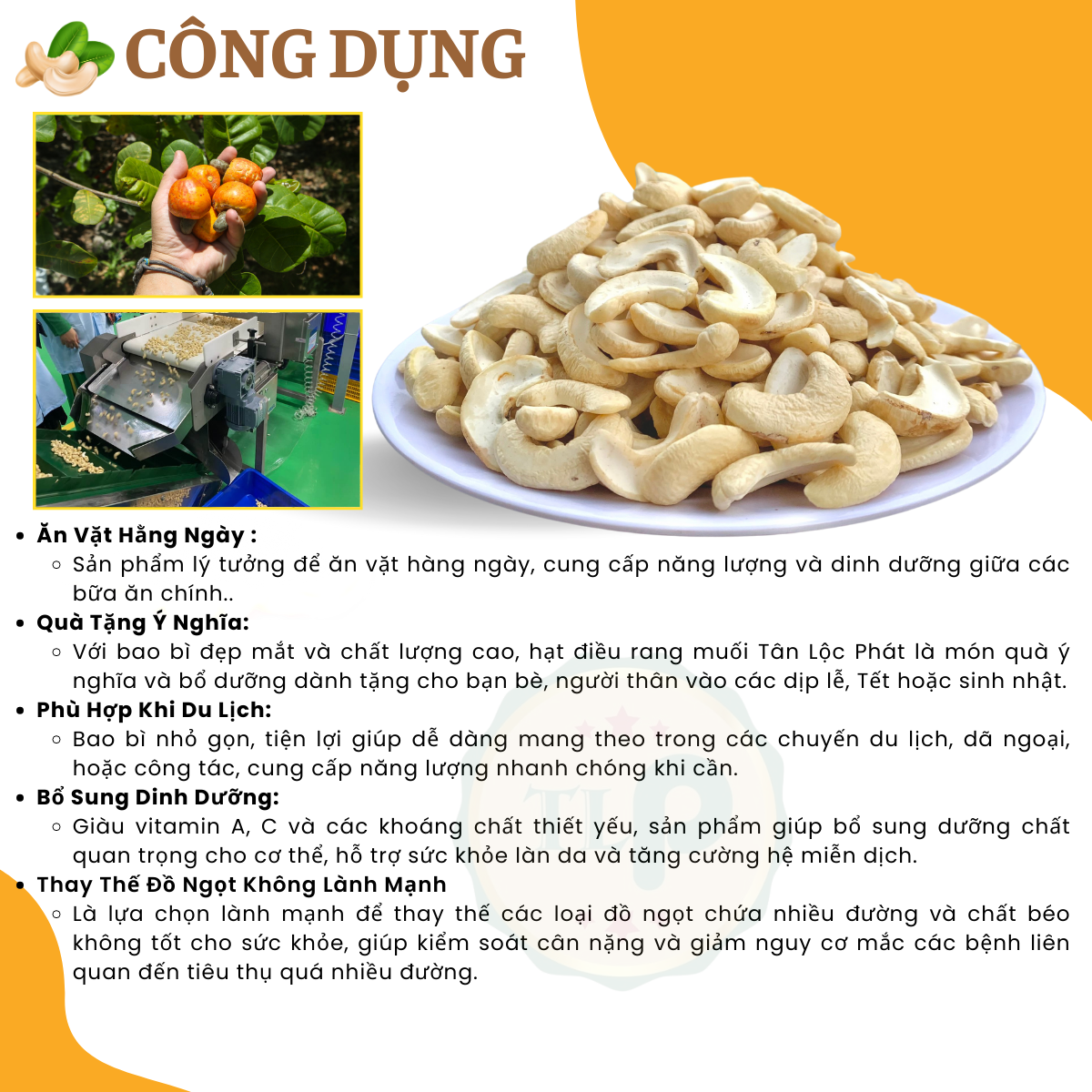 HẠT ĐIỀU BỂ RANG MUỐI TÂN LỘC PHÁT HŨ 500G Hạt Điều Bình Phước Thơm Ngon