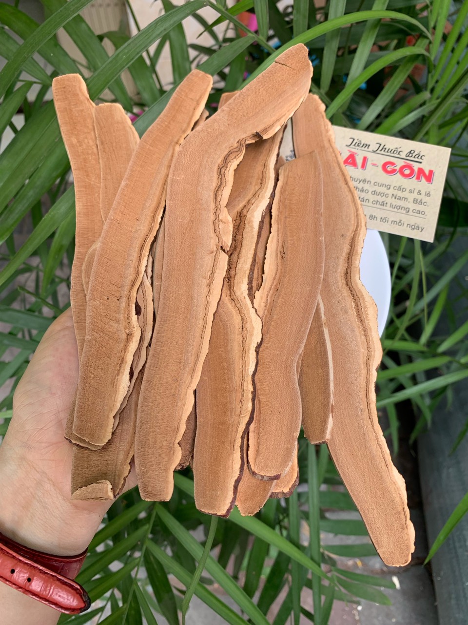 Nấm Linh Chi Hàn Quốc Thái Lát 100g