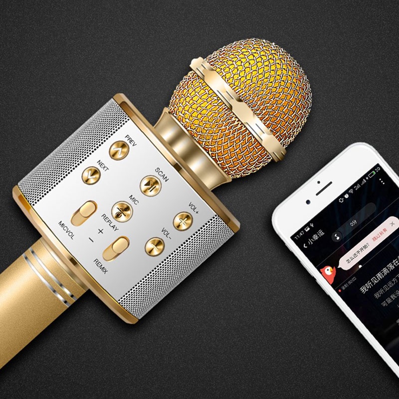 Mic Karaoke Bluetooth - Micro Không Dây Cầm Tay WS-858