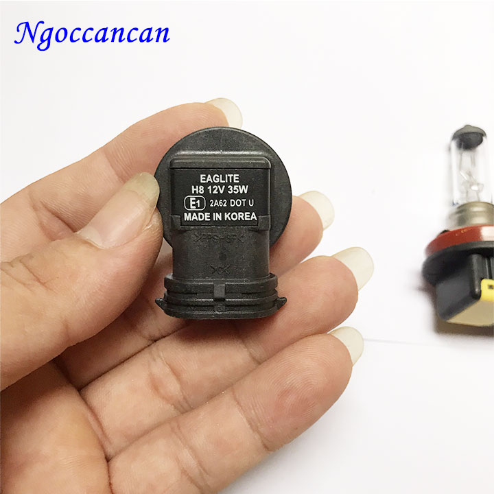 Bóng đèn Halogen con cú H8 12V 35W Eagleye loại 1