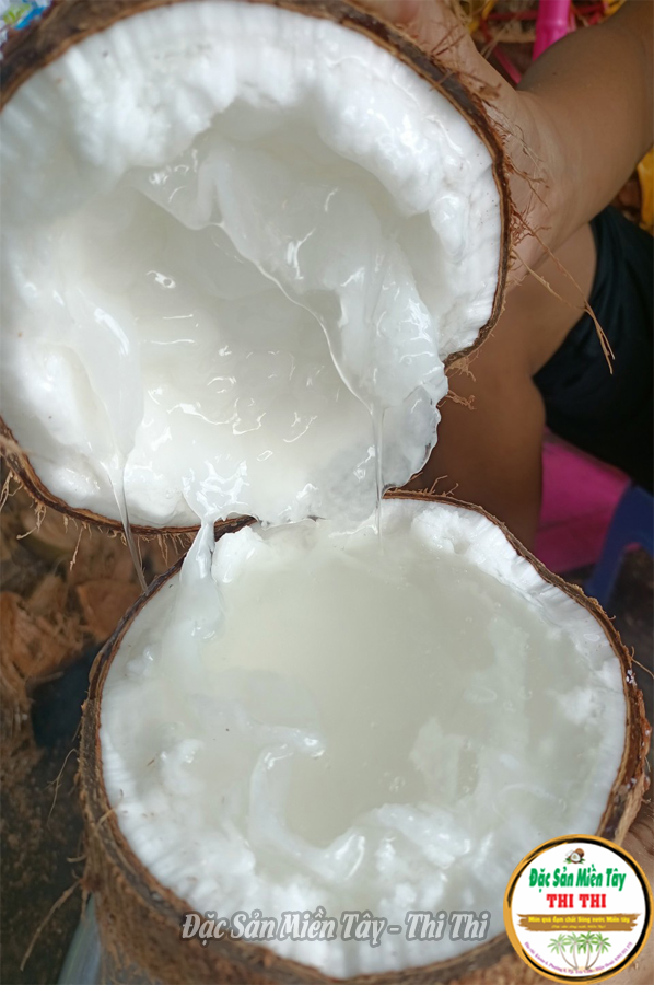 Combo 2 Dừa Sáp Thượng Hạng Loại 1 - Size Vừa (Trái 800gr-1Kg)
