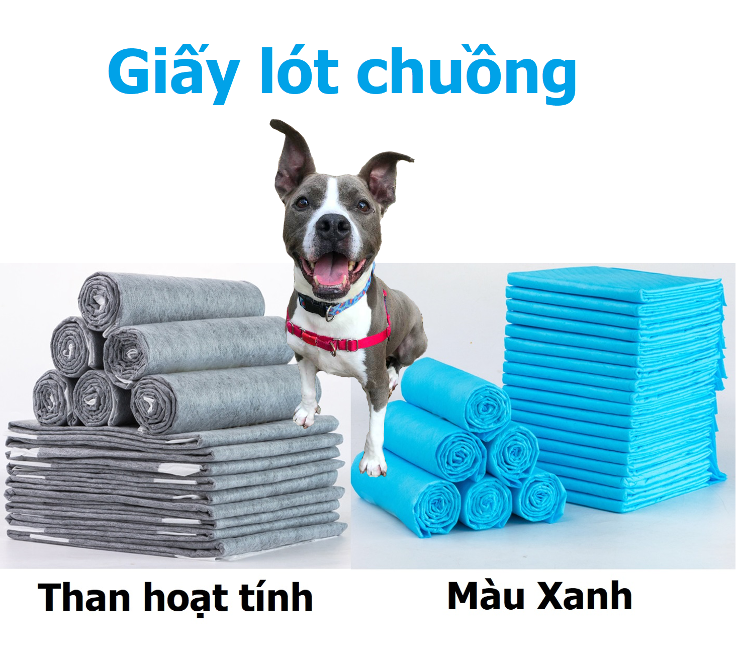 Hanpet - (Bán Lẻ 10 miếng) Tã lót khay vệ sinh chó / giấy lót chuồng chó mèo / tã giấy lót chuồng chó, lót sàn xe/ giấy vệ sinh chuột hamster