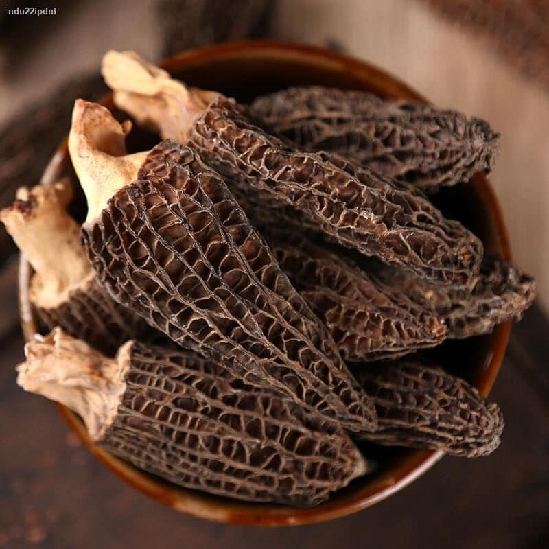 Nấm Bụng Dê