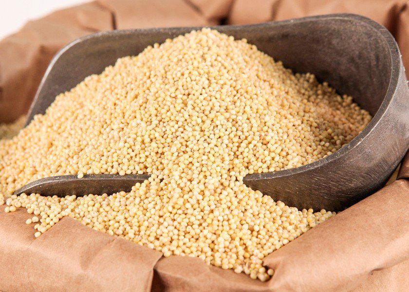 Hạt kê Millet 454g