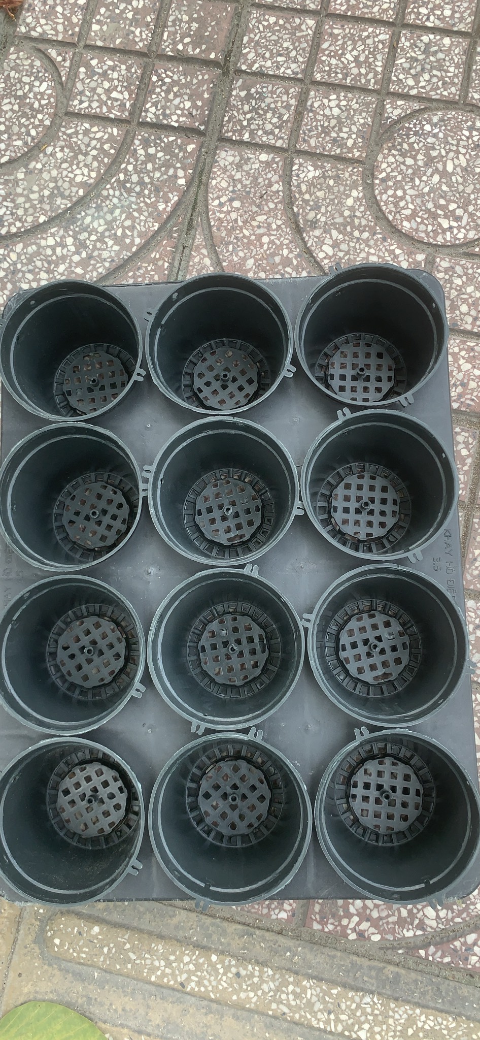 Combo 05 bộ chậu 10 cm và khay 3.5 inch
