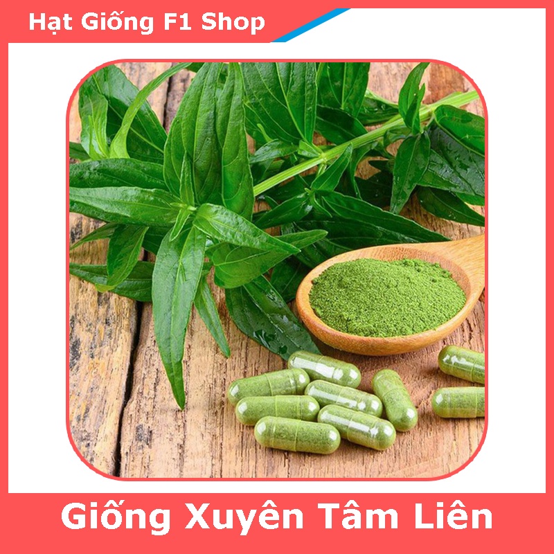 Hạt giống cây xiên tâm liên-gói 50 hạt-tặng kèm gói phân bón lót