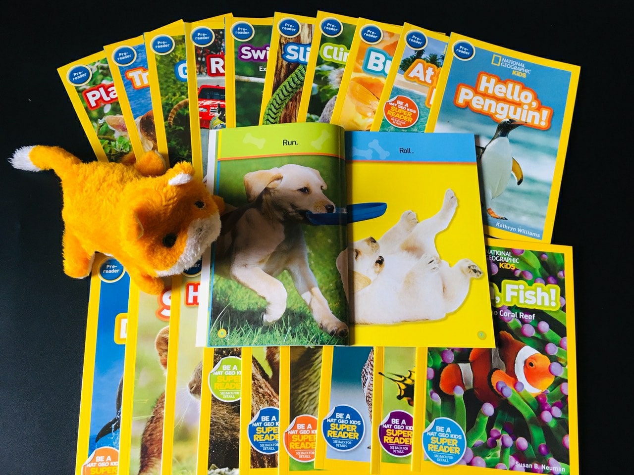 National Geographic Kids - Level PREK 20 cuốn