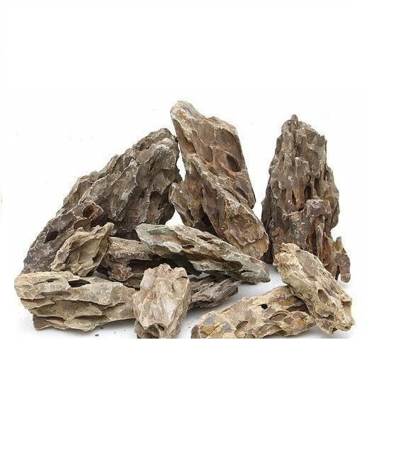 1 kg Đá Tiger - Set up hồ thủy sinh