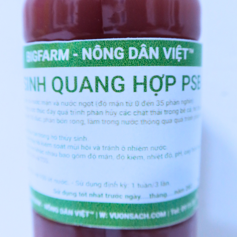 Vi sinh quang hợp PSB Bigfarm men vi sinh hồ kính giúp là trong nước