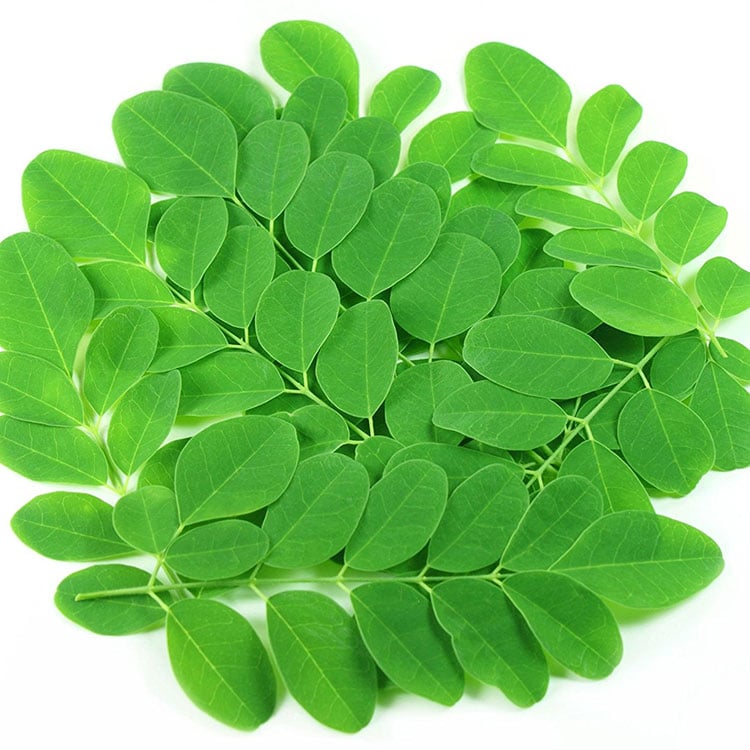 CÂY GIỐNG CHÙM NGÂY