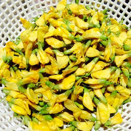 Hạt Giống Bông Điên Điển (1gr)