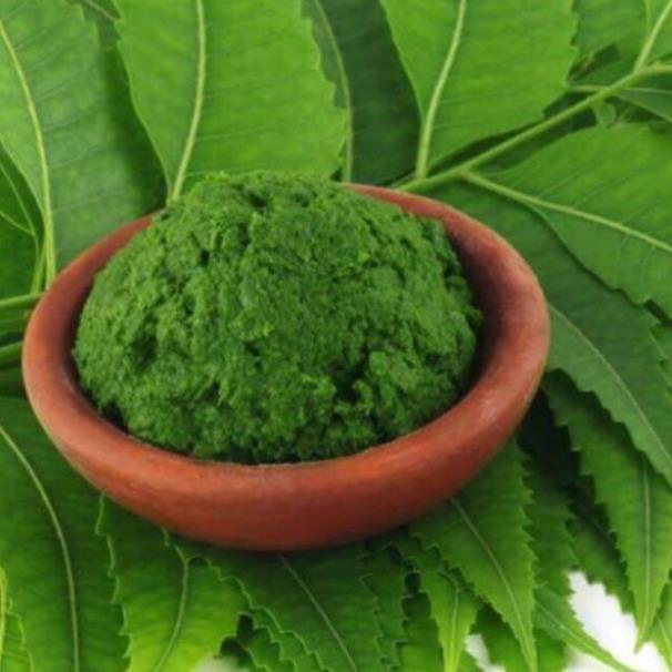 500gr Bột lá Neem đắp mặt giảm mụn Handmade