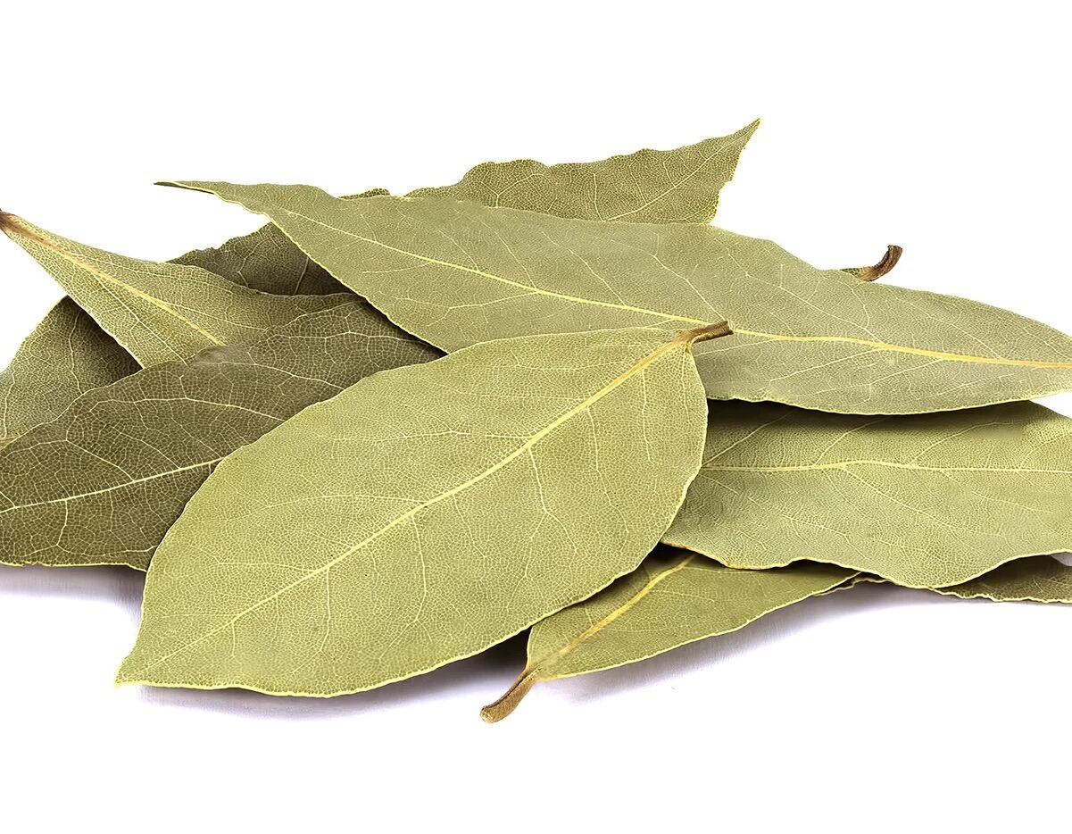 Bay Leaves - Lá Nguyệt Quế 500g