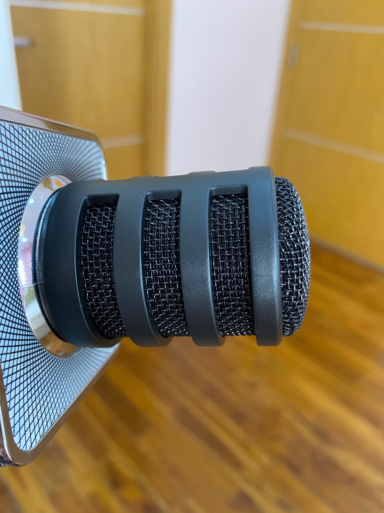 Micro Karaoke Bluetooth