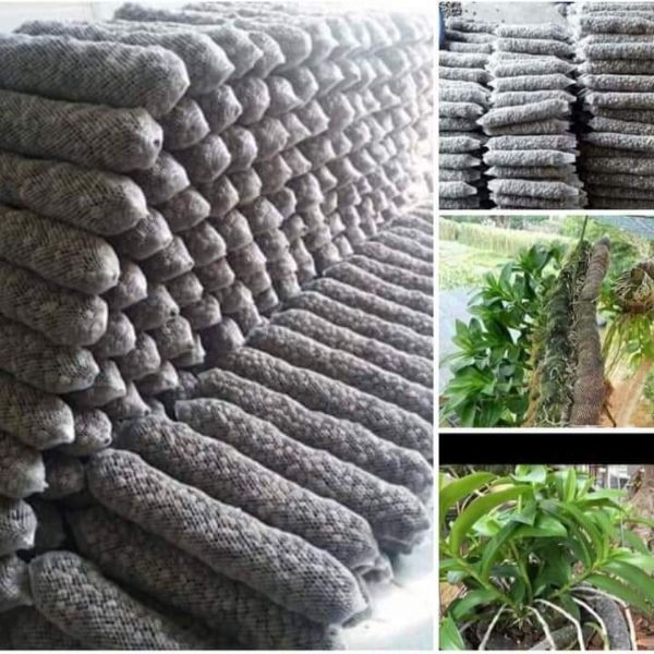 Túi lưới bọc, đựng phân tan chậm cho hoa lan 100gram