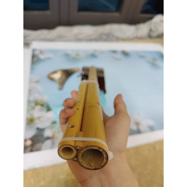 SÁO MÈO KÉP tone Đô (C) 🇻🇳- BH 5 năm