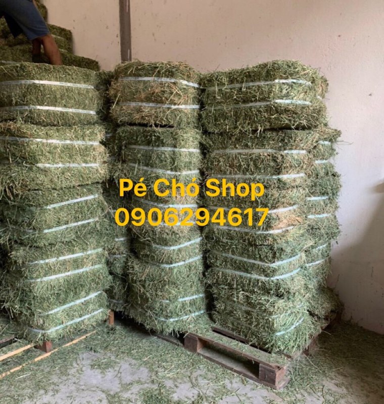 Kiện 3kg Cỏ alfa khô cho thỏ ,bọ ú,giá siêu tiết kiệm.