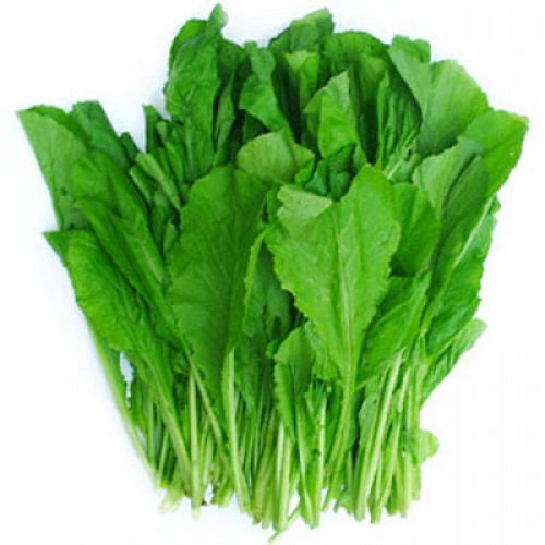 Hạt giống Cải Ngọt 20gr
