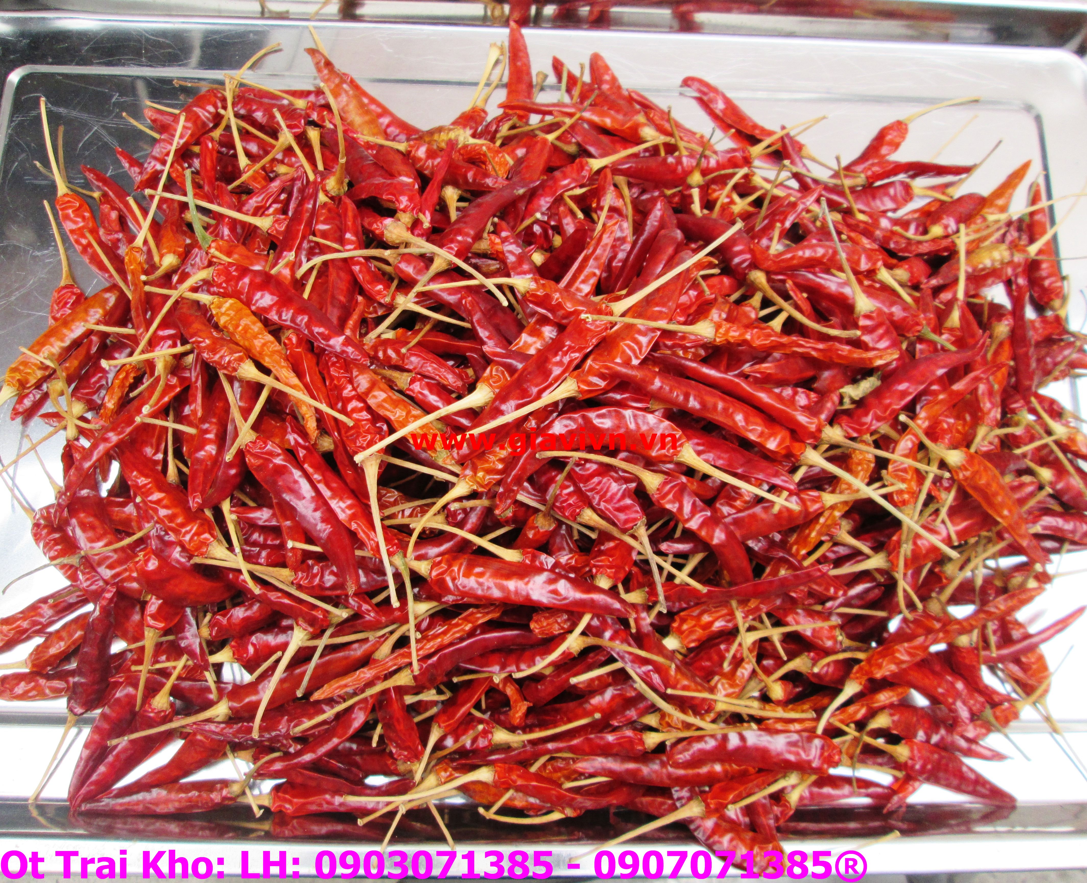 Ớt Trái  Phơi Khô Cao Cấp 100gram