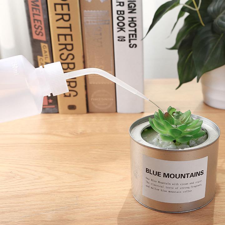Mini Bonsai watering can (500ml)