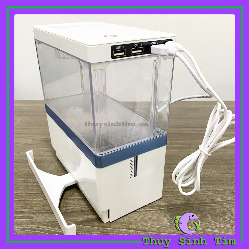 Bể Cá Mini Fish Tank Để Bàn Làm Việc, Bàn Học