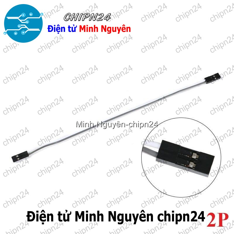 [2 sợi] (D119) Dây bẹ màu 2.54mm 2p 20cm