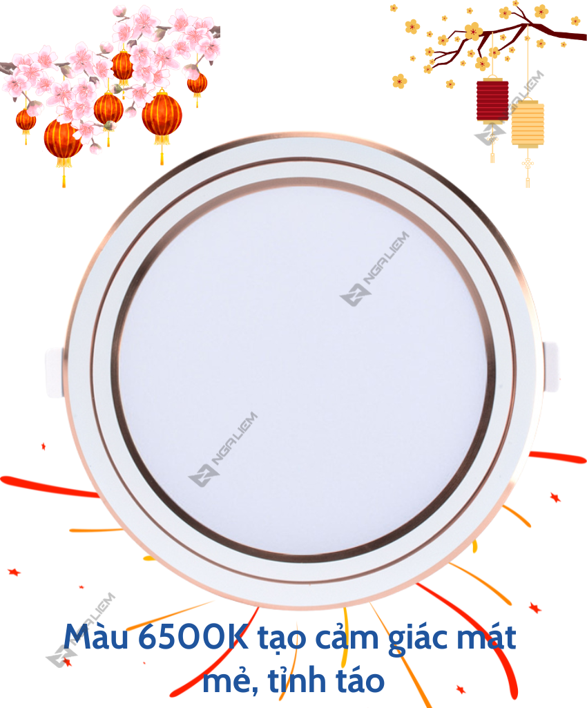 Đèn LED Panel tròn PT05 9W/135 Rạng Đông (Viền Vàng/ Viền Bạc)