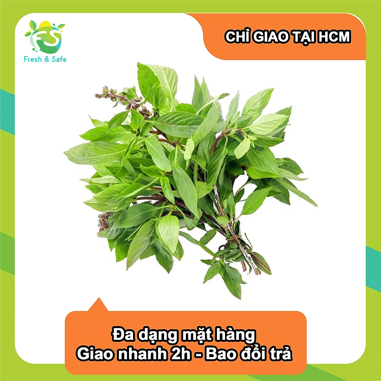 [Chỉ Giao HCM] Húng Quế - 100g
