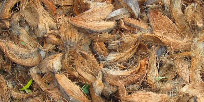 Xơ dừa miếng trồng hoa lan, Túi 200g