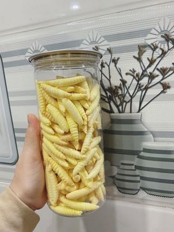 Bánh Sùng Sầu Riêng Lon Pet 300G
